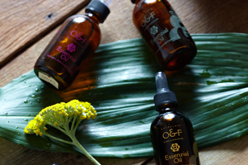 아로마 기초 교육